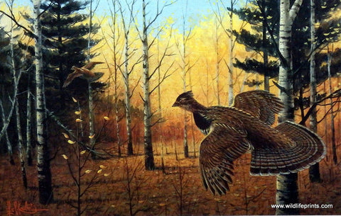 Grouse/Quail