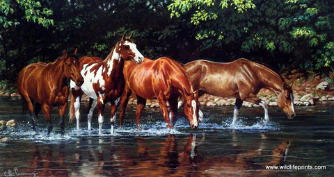 Horses