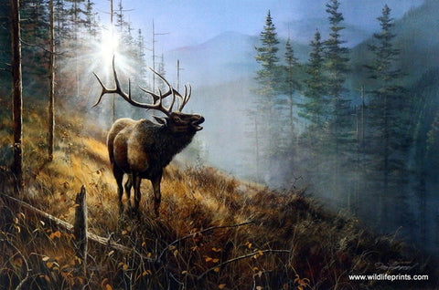 Elk