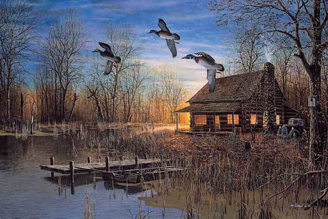 Duck and Waterfowl Prints