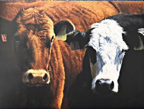 Derk Hansen The Odd Couple Cow Farm Art Print-16 x 12