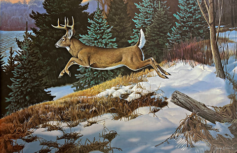 Jerry Gadamus Downhill Run Deer Buck Art Print S/N (25x16.5)