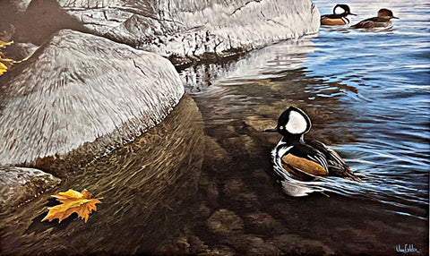 Ron Van Gilder Through The Shadows Duck S/N Art Print 25 x 15