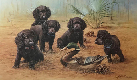 James Killen Low Country Treasures Boykin Spaniels Art Print