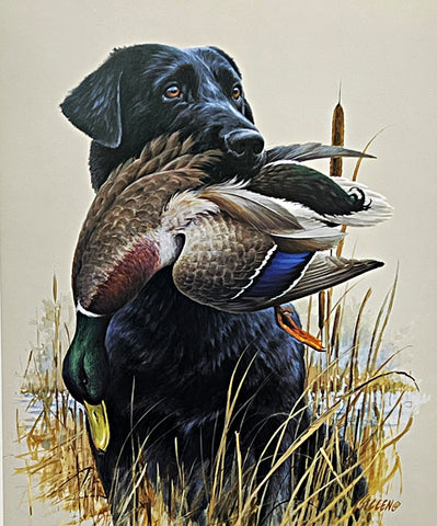 Jim Killen Sporting Dog Art Print In the Marsh Black Lab (15.5"x19")