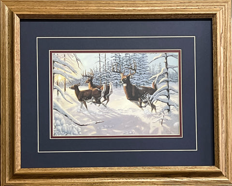 Gene Stewart Framed Whitetail Deer Art Print Winter's Glory (21"x17")