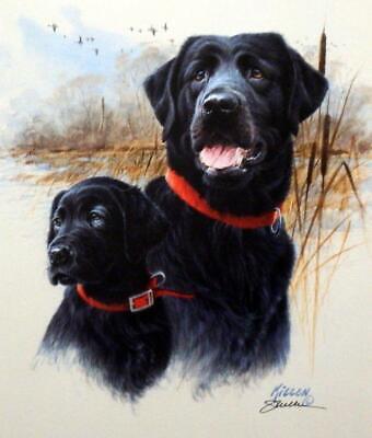 Jim Killen The Legacy Black Labs Signed 13 x 15