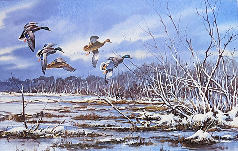 Jim Killen S/N Duck Art Print After the Snowfall-Mallards (25"x16.5")