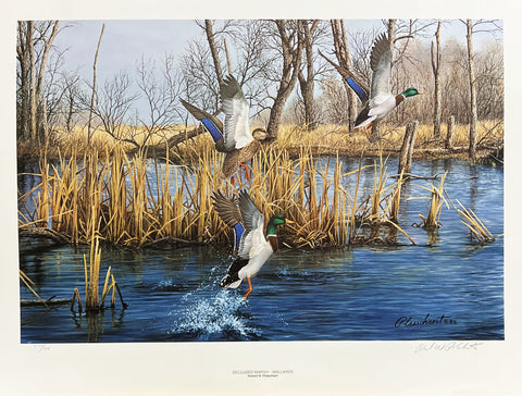 Richard Plasschaert Secluded Marsh-Mallards S/N Art Print 25 x 16.5