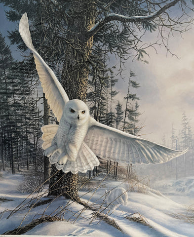 James Meger Snowy Pursuit Owl Art Print  S/N 19 x 21.5