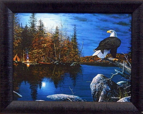 Jim Hansel Reflections Eagle Studio Canvas Framed Print- 19" x 15"