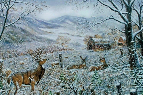 Ray Mertes First Snow - 29"x19" Signed and Numbered