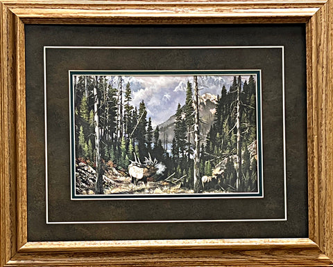 Ray Whitson, Elk Art Print FRAMED Wood Frame  (21x17)