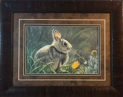 Paul Krapf Spring Cottontail Rabbit Art Print-Framed 19 x 15