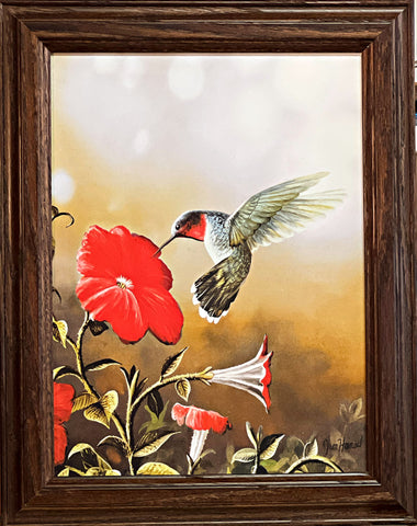 Jim Hansel Ruby Throated Hummingbird  Decorator Art Print-Framed   11.5" x 14.5"