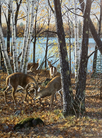 Jim Kasper Seasons of the Woods-Confrontation S/N Deer Art Print 11 x 15