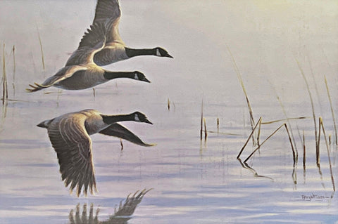 Gary Moss Silent Wings-Canada Geese Signed/Numbered Art Print (24x16)