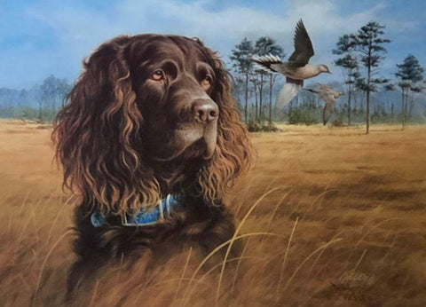 Jim Killen Open Edition Hunting Dog Print In the Field Boykin Spaniel-Dove  (19x14)