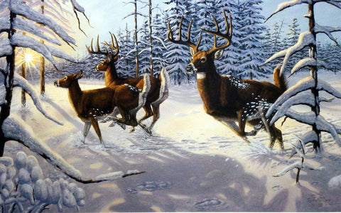 Gene Stewart Winter Glory - 12"x8" Open Edition