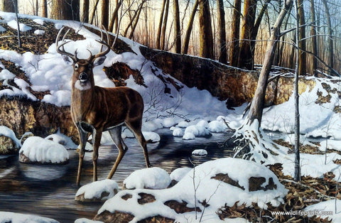 Jim Hansel River Bottom Buck - 29"x 19" Open Edition