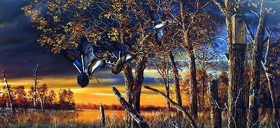 Jim Hansel Return to the Refuge Wood Duck Art Print  12" x 7.5"