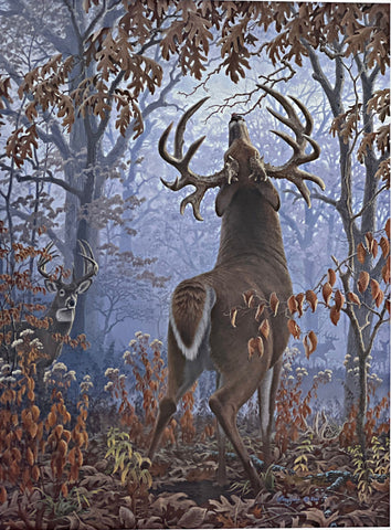 Larry Zach Signed Whitetail Deer Art Print Big Timber Bucks (12x16)