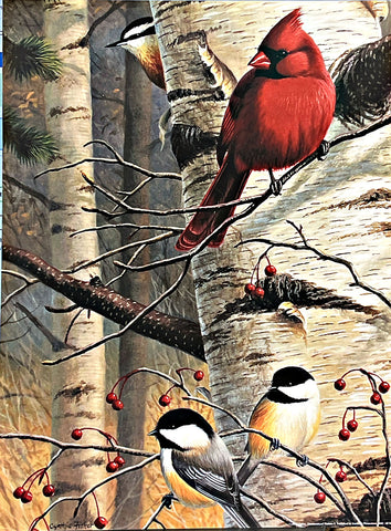 Cynthie Fisher Unannounced Visitors II Cardinal Art Print 12 x 16