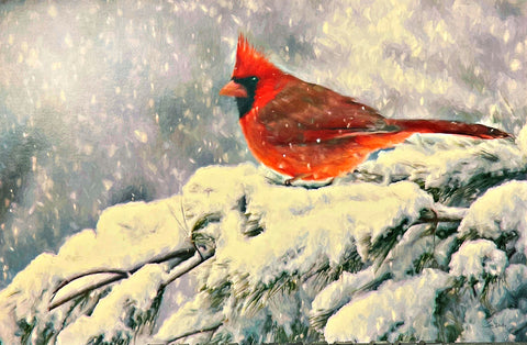 Lori Deiter Winter Cardinals I Snow Pine Tree Paper Art Print 18 x 12