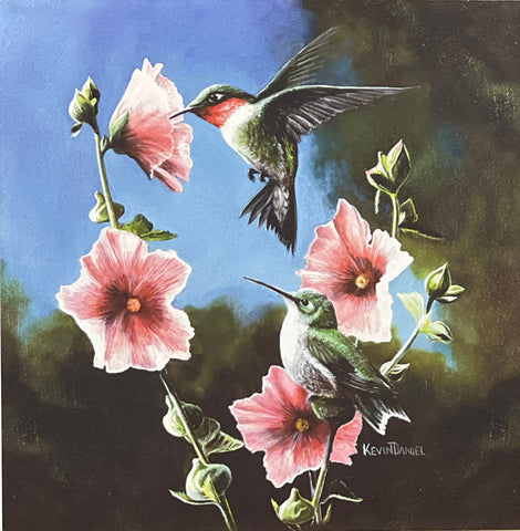 Kevin Daniel Open Edition Bird Print Ruby Throated Hummingbird (12x12)