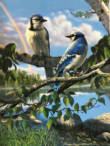 Kim Norlien Songbird Art Print Blue Jays 9 x 12