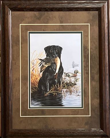 Scot Storm Duck Hunting Black Lab Art Print A Mouthful (19"x15")