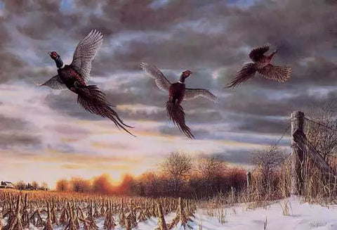 Jim Hansel "Spooked" Pheasant Farm Art Print  12" x 7.5"