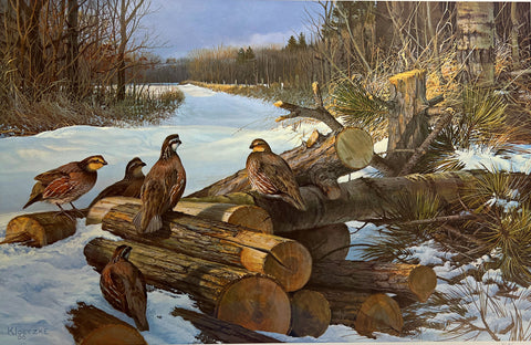 Don Kloetzke, Snow Drifters S/N Quail Art Print  (25x16)