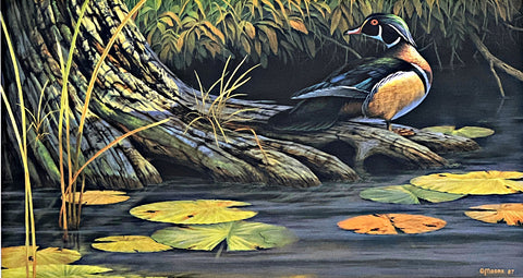 Don Moore Signed/Numbered Wood Duck Art Print Backwater Woodie (18.5"x10")