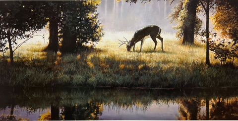 Larry Chandler Walking on Sunshine Deer Field S/N  Art Print 28 x 24