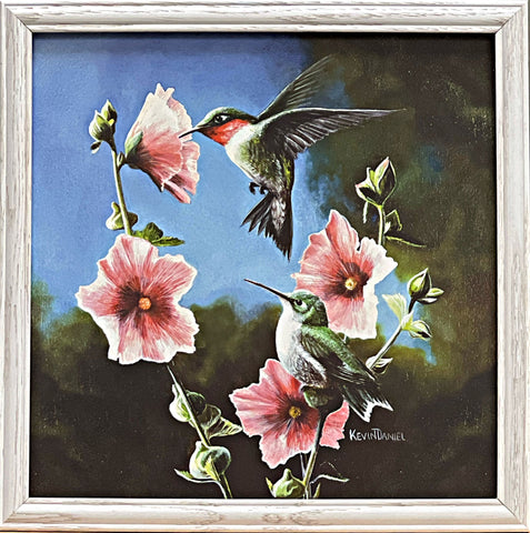 Kevin Daniel Framed Morning Glory Art Print Ruby Throated Hummingbird (13.25"x13.25")