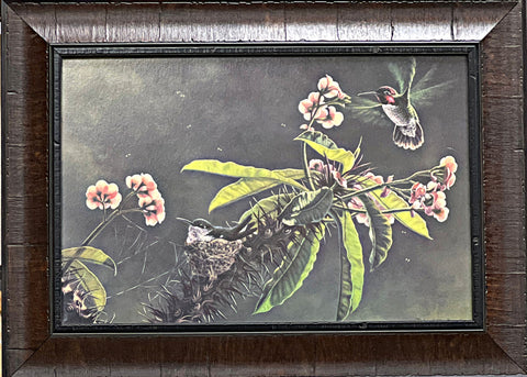 Robert Copple Framed Hummingbird Art Print The Promise of Spring (18.75"x13.75")