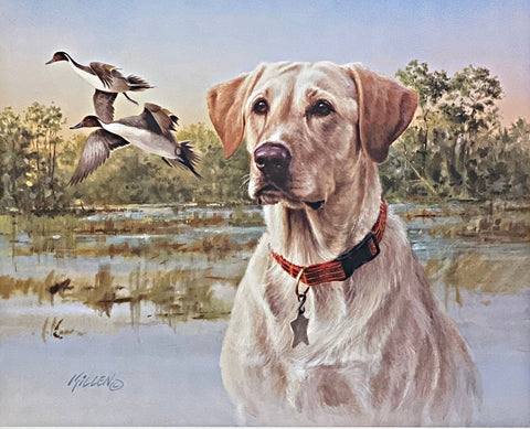 Jim Killen Sporting Dog Art Print Great Retrievers Yellow Labrador-Pintails (19.5x15.75)