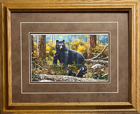 Jim Hansel Age Of Wonder- Framed - 21"x17" Open Edition