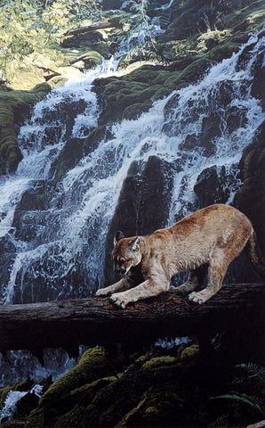 Terry Isaac The Sharpening Place-Cougar