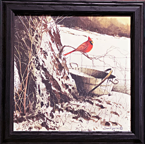 John Rossini Country Cardinal Farm Art Print-Framed 14.5 x 14.5