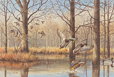 Maynard Reece Signed/Numbered Art Print Flooded Timber-Mallards with cert (24"x16")