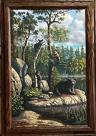 Kim Norlien Family Bear cub Art print Framed  13.5 x 19.5