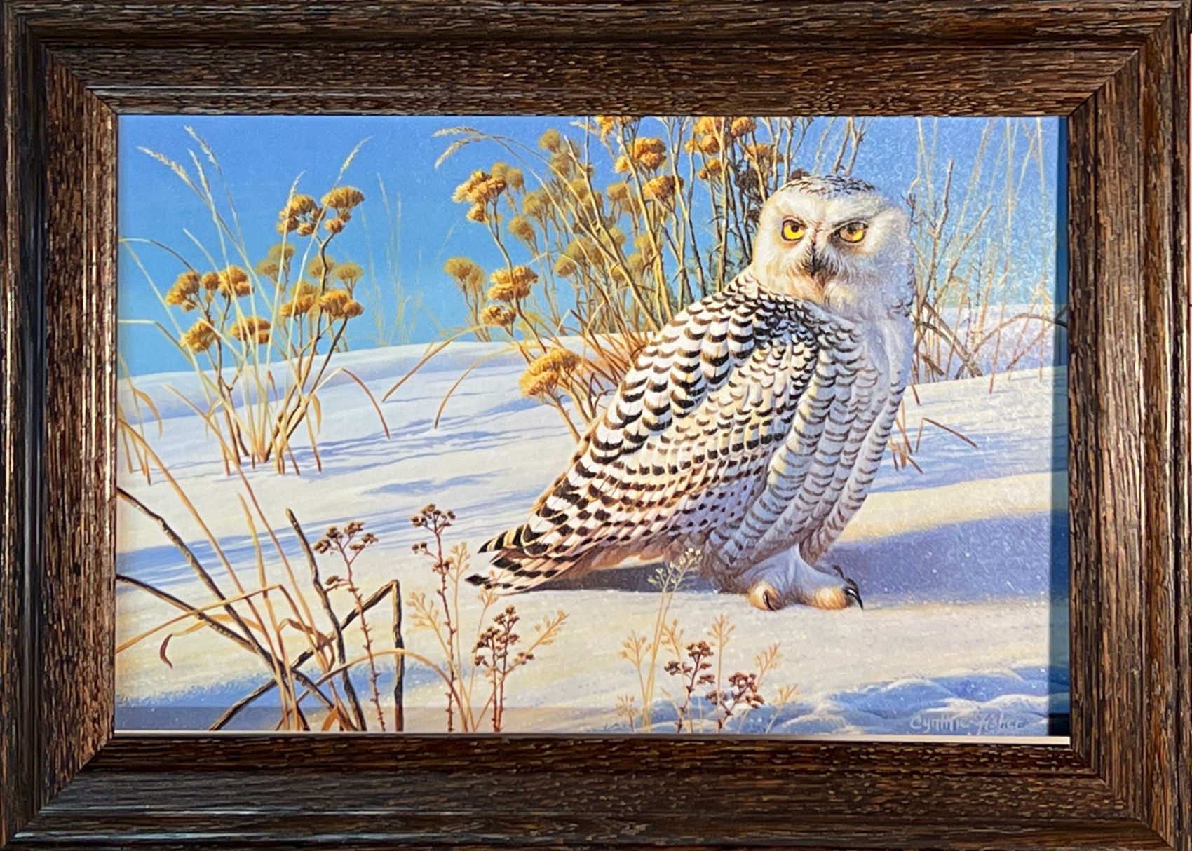 Winter Owl Watercolor Canvas Print
