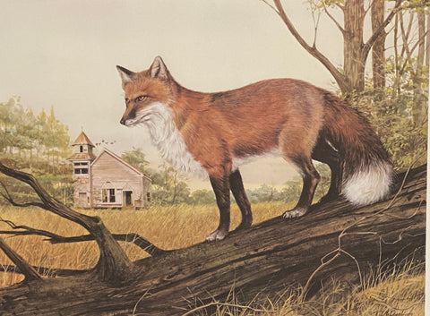 R.J.Mcdonald Faithful Fox S/N Art Print 21.5 x 16