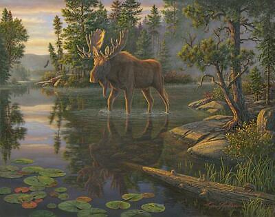 Kim Norlien King of the North Moose Art Print  28 x 22