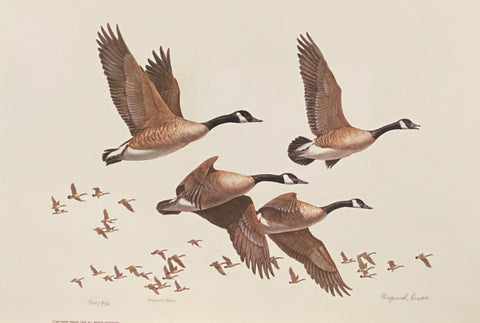 Maynard Reece Signed/Numbered Art Print Flight-Canada Geese with cert (16"x12")