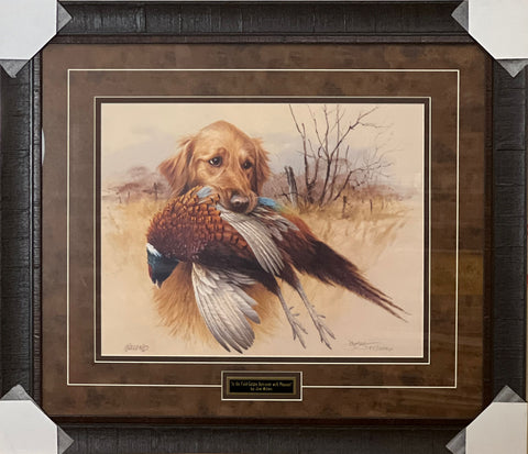 James Killen In the Field Golden Retriever Pheasant-AP Framed 30.5 x 26.5