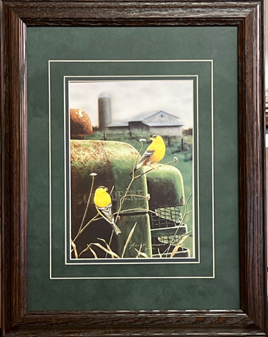 Greg Bordignon Golden Memeries Birds Farm Tractor Art Print-Framed 15 x 19