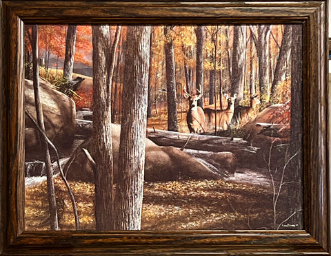 Kevin Daniel Autumn  Alert Deer Buck Studio Canvas Art Print 18.5 x 14.5